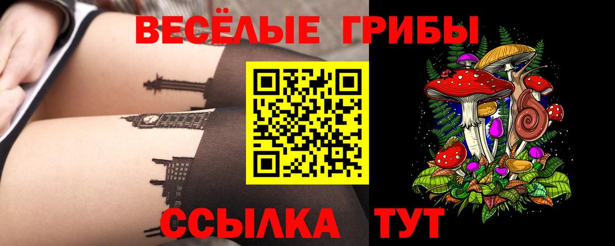 Псилоцибиновые грибы GOLDEN TEACHER Альметьевск