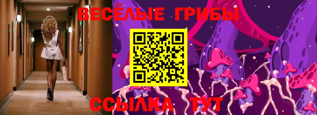 Псилоцибиновые грибы Cubensis  Вход с VPN  Альметьевск 